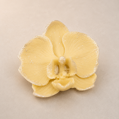 Keizerlijke Orchidee